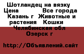Шотландец на вязку › Цена ­ 1 000 - Все города, Казань г. Животные и растения » Кошки   . Челябинская обл.,Озерск г.